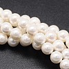 Shell Pearl Beads Strands BSHE-E008-4mm-12-1