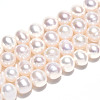 Natural Cultured Freshwater Pearl Beads Strands PEAR-N016-07B-2