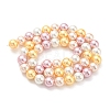 Electroplated Natural Shell Beads Strands SHEL-F008-03B-05-2