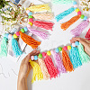 Wool Felt Ball Tassel Garland Banner DIY-WH20011-28A-3