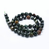 Natural Bloodstone Beads Strands G-F523-16-10mm-2
