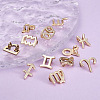 Fashewelry Alloy Charms FIND-FW0001-02-4