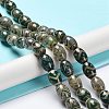 Tibetan Style dZi Beads Strands TDZI-E005-01G-2