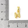 Rack Plating Brass Charms KK-C053-04G-H-3