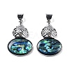 Natural Paua Shell Pendants FIND-A036-01P-01-1