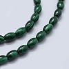 Natural Malachite Beads Strands G-F571-21-B-3