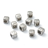 Tarnish Resistant 304 Stainless Steel European Beads STAS-H145-01T-P-2