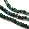 Natural Chrysocolla Beads Strands G-K373-B07-03-4