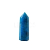 Point Tower Natural Apatite Home Display Decoration PW-WG91959-04-5