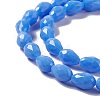 Faceted Glass Beads Strands GLAA-E037-01D-3