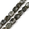 Natural Labradorite Beads Strands G-N342-146-1