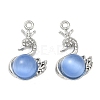Alloy Rhinestone Pendants FIND-D044-22P-02-1