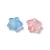 Frosted Acrylic Charms OACR-M023-04B-2