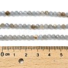 Natural Angelite Beads Strands G-RM2025-30-4mm-5