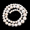 Synthetic Turquoise and Sea Shell Assembled Graduated Beads Strands GG-CBA2AE1-A07-6