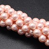 Shell Pearl Beads Strands BSHE-E008-8mm-13-1