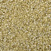 MIYUKI Delica Beads SEED-J020-DB1212-3
