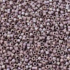 MIYUKI Delica Beads X-SEED-J020-DB2321-3