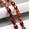 Natural Red Agate Beads Strands G-P520-C21-01-2