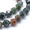 Natural Bloodstone Beads Strands G-F523-16-10mm-3