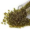 TOHO Round Seed Beads SEED-JPTR08-0747-1