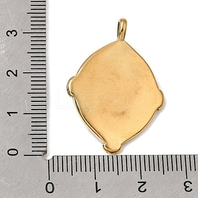 304 Stainless Steel Enamel Pendants LS-SA-CBAFCBF-03G-1