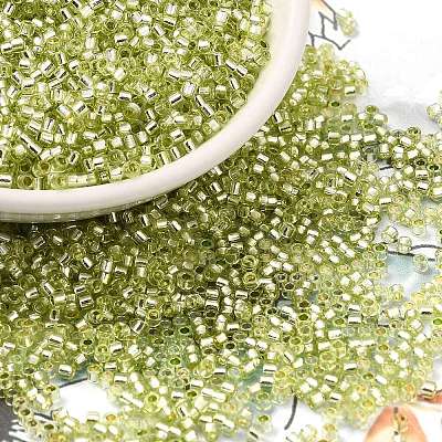 Glass Seed Beads X-SEED-S042-04B-24-1