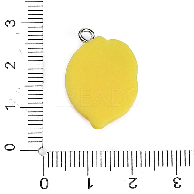 Resin with Alloy Pendants RE-CBA08CD-09A-1