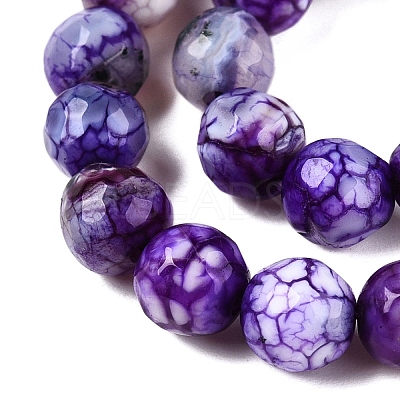 Natural Crackle Agate Beads Strands G-T119-01A-05-1