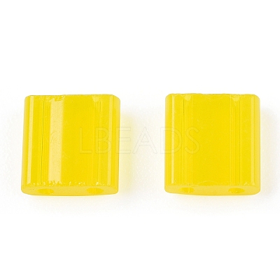 2-Hole Glass Seed Beads SEED-T003-01C-11-1