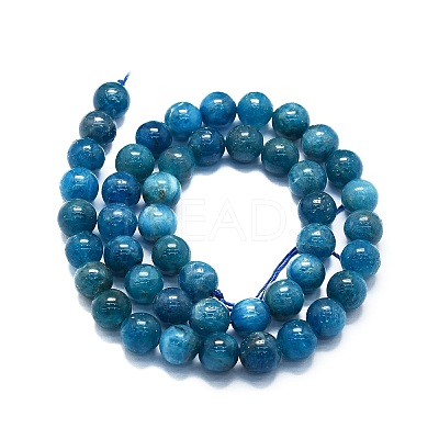 Natural Apatite Beads Strands G-K245-A03-04-1