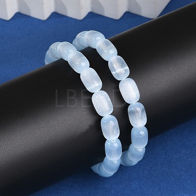 Dyed Natural Selenite Column Beaded Stretch Bracelets for Women BJEW-I312-05A-1