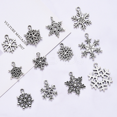 Tibetan Style Alloy Big Pendants TIBE-CJ0001-04-1
