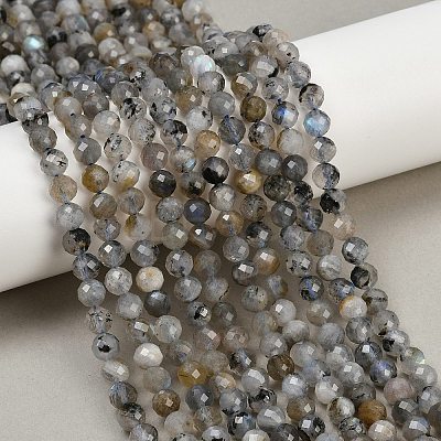Natural Labradorite Beads Strands G-G281-B03-6mm-1