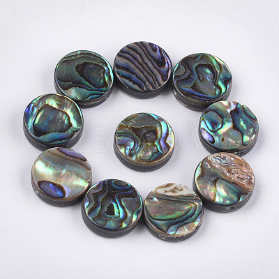 Abalone Shell/Paua Shell Beads SSHEL-T008-06A-1