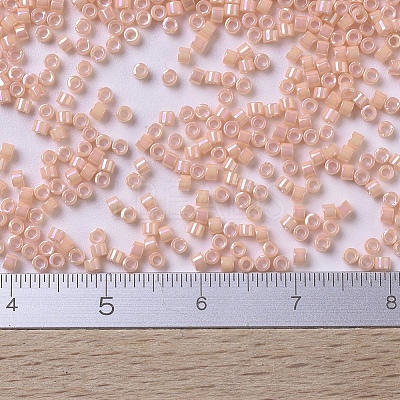 MIYUKI Delica Beads SEED-X0054-DB0207-1