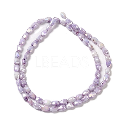 Electroplate Glass Beads Strands GLAA-D013-05F-1