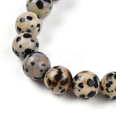 Natural Zebra Jasper Beads Stretch Bracelets BJEW-T022-04D-1