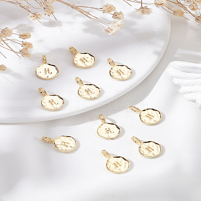 10Pcs Alloy Pendants FIND-LP0003-36H-1