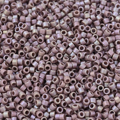 MIYUKI Delica Beads X-SEED-J020-DB2321-1
