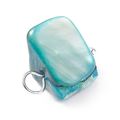 Natural Freshwater Shell Charms PALLOY-JF01352-01-1