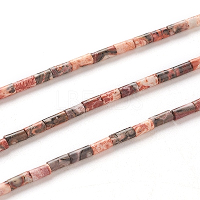Natural Leopard Skin Jasper Beads Strands G-G783-17-1