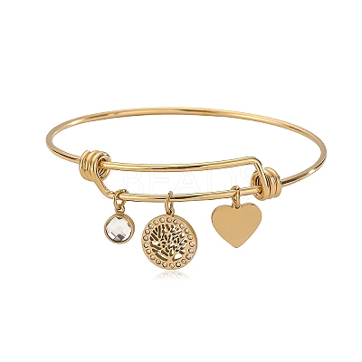 Stainless Steel Micro Pave Cubic Zirconia Charm Bangles PW-WG9247A-01-1