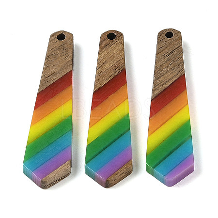 Pride Rainbow Theme Resin & Walnut Wood Pendants WOOD-K012-12C-1