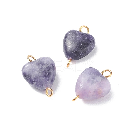 Natural Lepidolite/Purple Mica Stone Connector Charms PALLOY-JF01412-1