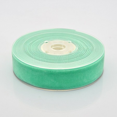 Polyester Velvet Ribbon for Gift Packing and Festival Decoration SRIB-M001-23mm-323-1