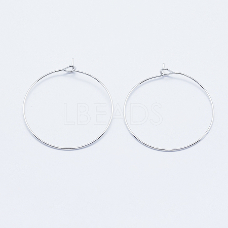 Long-Lasting Plated Brass Hoop Earrings Findings LS-KK-K204-179P-NF-1