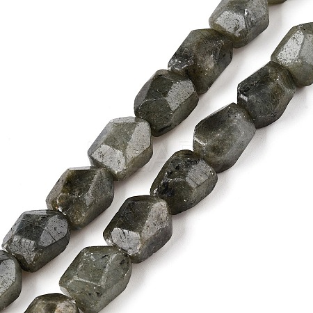 Natural Labradorite Beads Strands G-N342-146-1