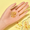 8500Pcs 10 Style Glass Seed Beads SEED-YW0001-80F-5