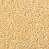 TOHO 8/0 Round Beads X-SEED-TR08-0903-2
